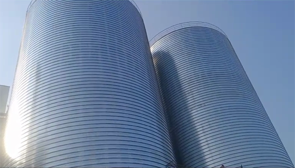 武宣2座混凝土高架卷板仓